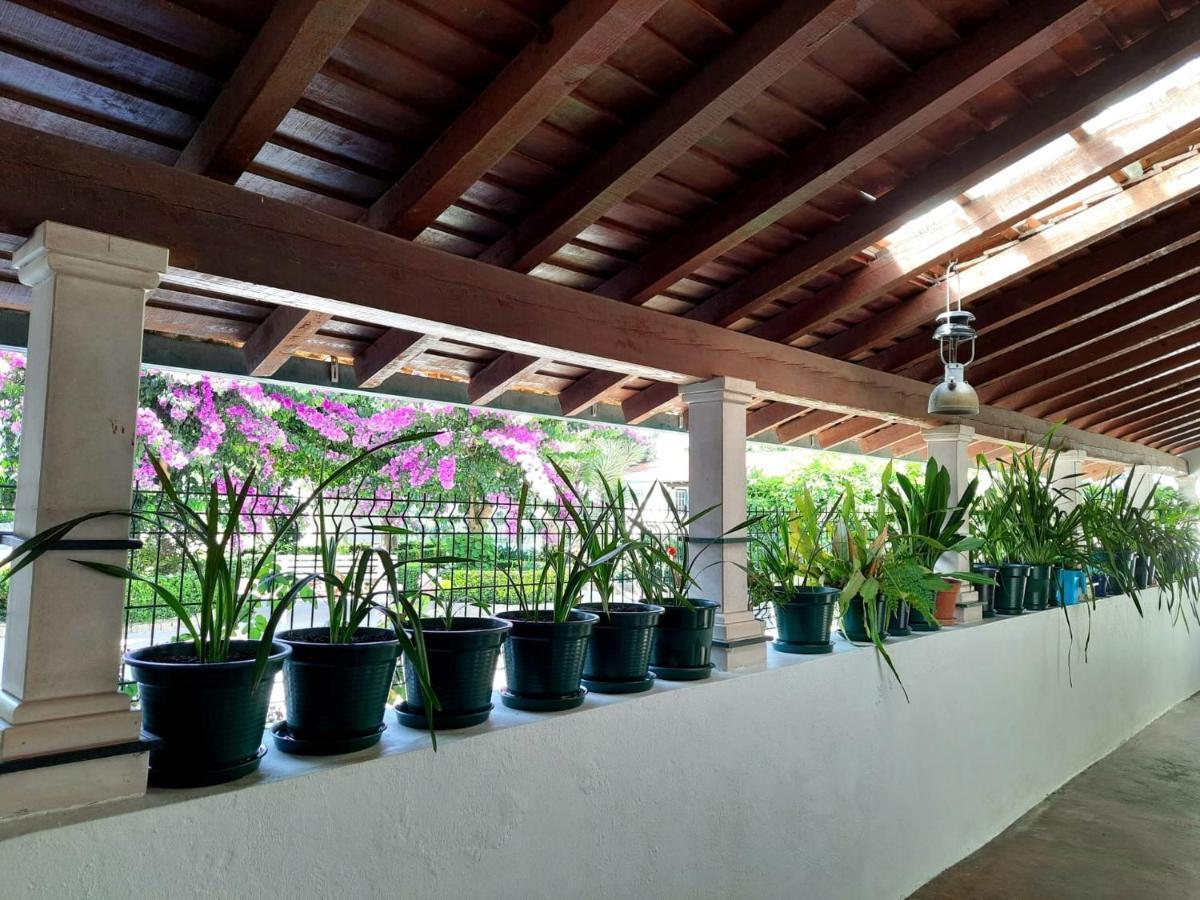 Qm - Quinta Da Morgadinha - Casa Em Quinta Rural Villa Cabecos Luaran gambar