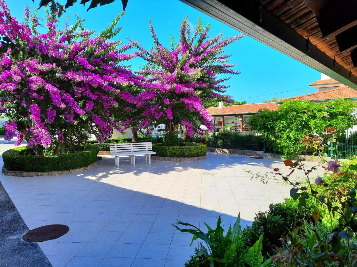 Qm - Quinta Da Morgadinha - Casa Em Quinta Rural Villa Cabecos Luaran gambar