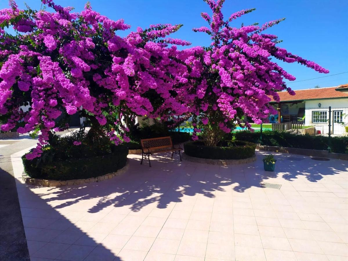 Qm - Quinta Da Morgadinha - Casa Em Quinta Rural Villa Cabecos Luaran gambar