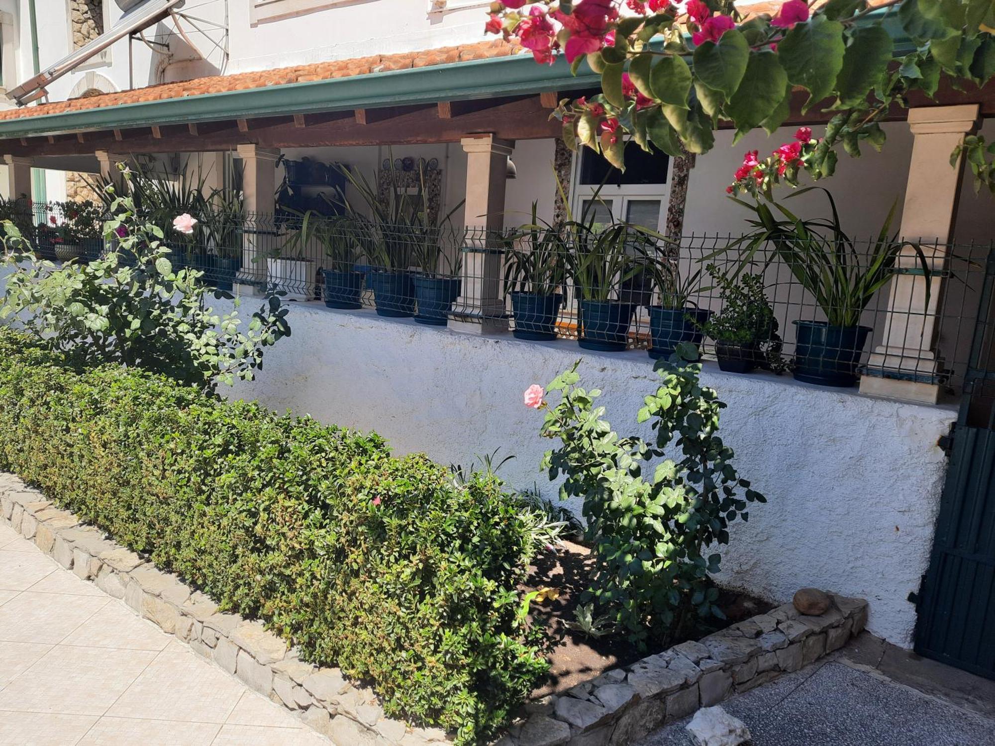 Qm - Quinta Da Morgadinha - Casa Em Quinta Rural Villa Cabecos Luaran gambar